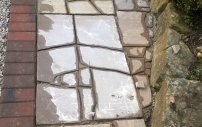 Path Up Close